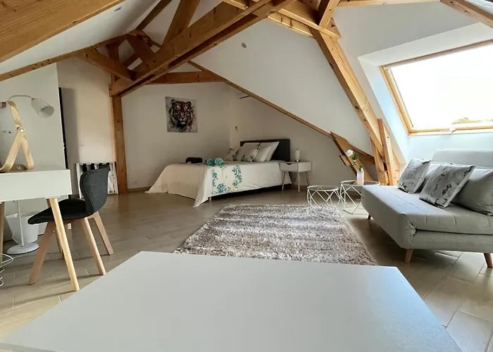 Villaveyron 别墅 Roussennac